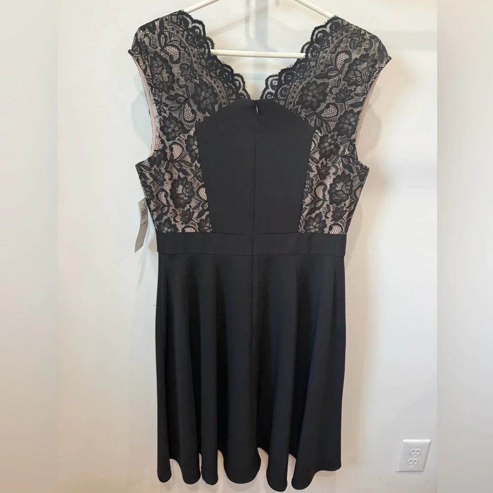 London Times Black Midi Dress with Beige Lace Insets - Picture 2 of 3